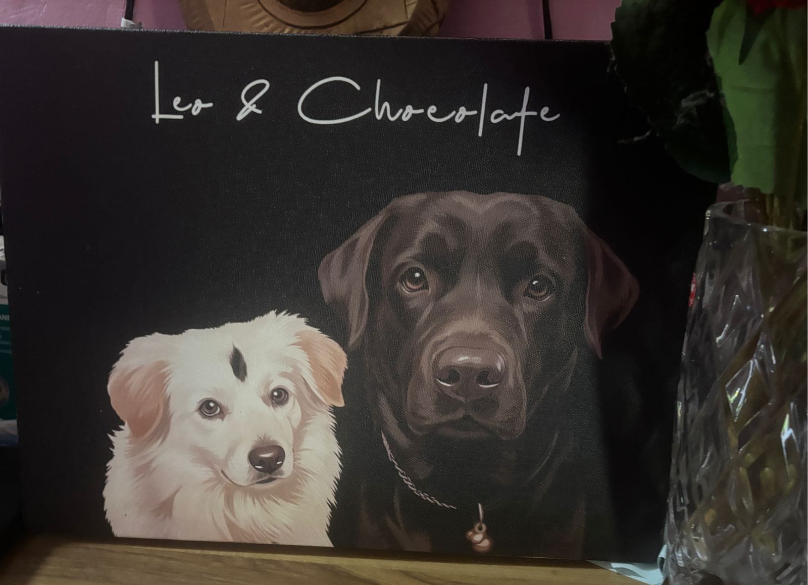 Vihaan's custom pet portrait